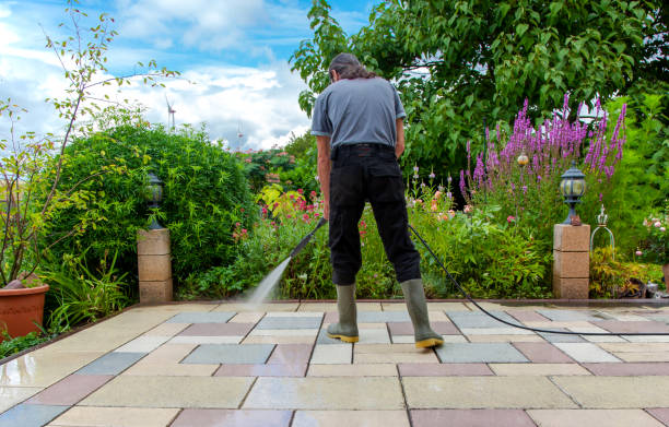 Animal Enclosure Cleaning in Maywood, CA